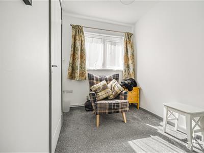 Picture 11